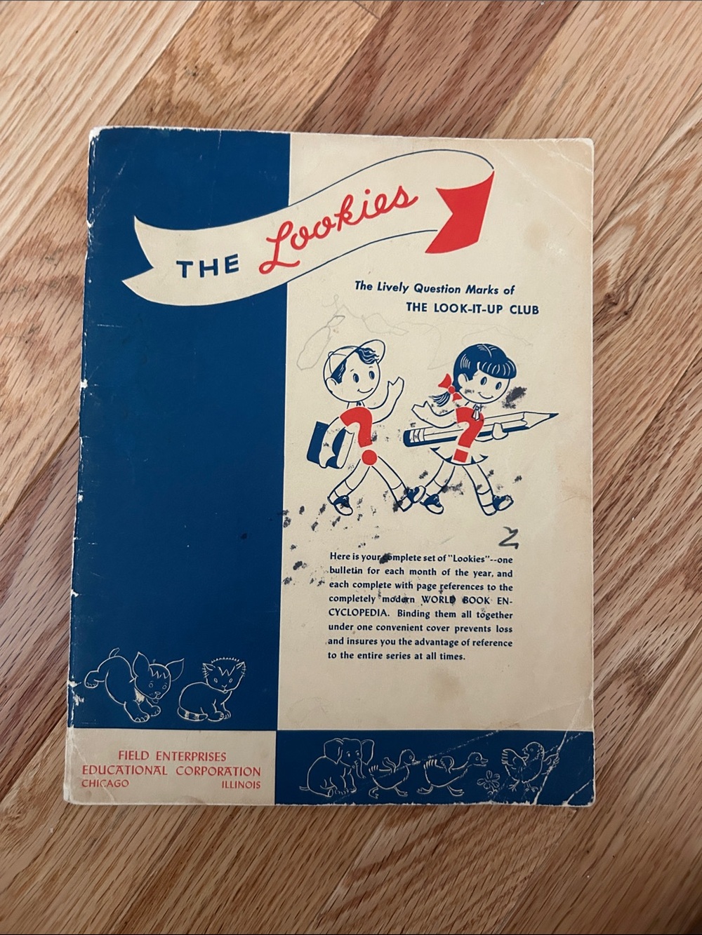 Vintage The Lookies Educational Booklet